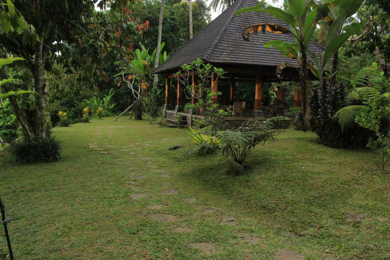 Saridevi Ecolodge Jatiluwih Dış mekan fotoğraf