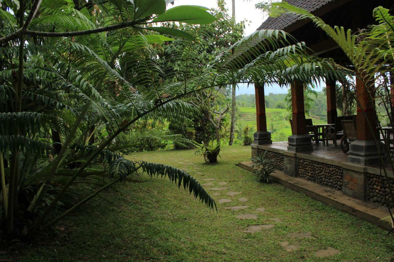 Saridevi Ecolodge Jatiluwih Dış mekan fotoğraf