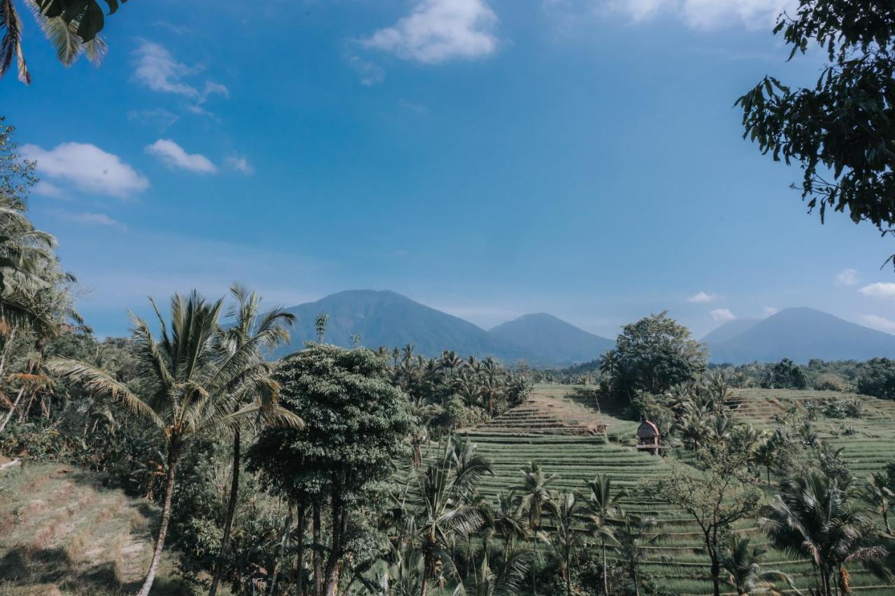 Saridevi Ecolodge Jatiluwih Dış mekan fotoğraf